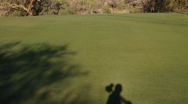 Loews Ventana Canyon Resort: A Self Portrait