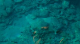 Four Seasons Sharm El Sheikh: The Red Sea is...