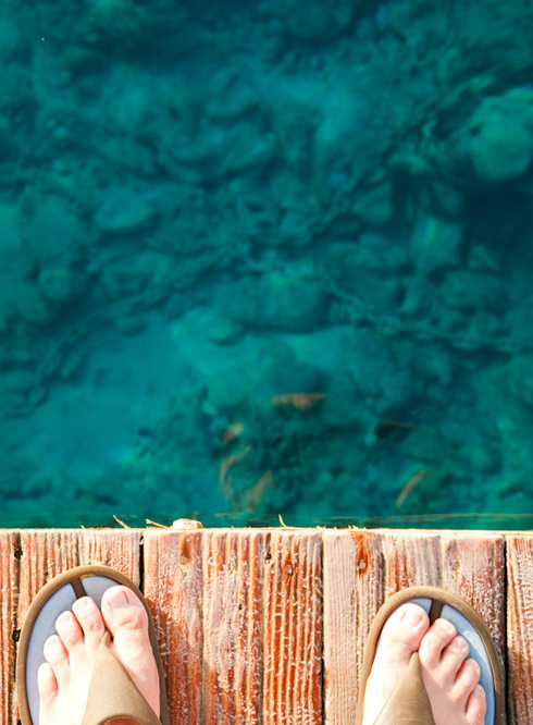 fssharm-red-sea
