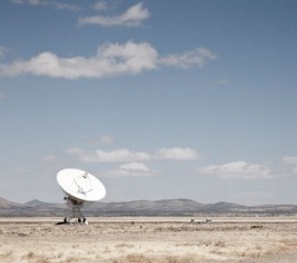 vla_008