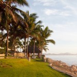 palmilla2